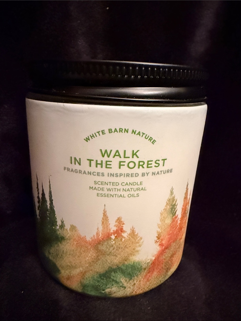 White Barn Walk in the Forest Scented Candle - Green & Orange